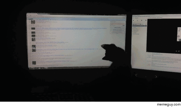 I can never browse Reddit in peace