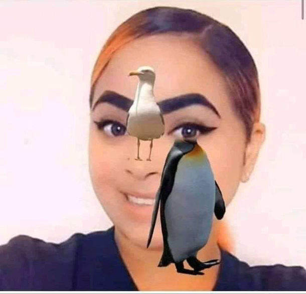 I cant