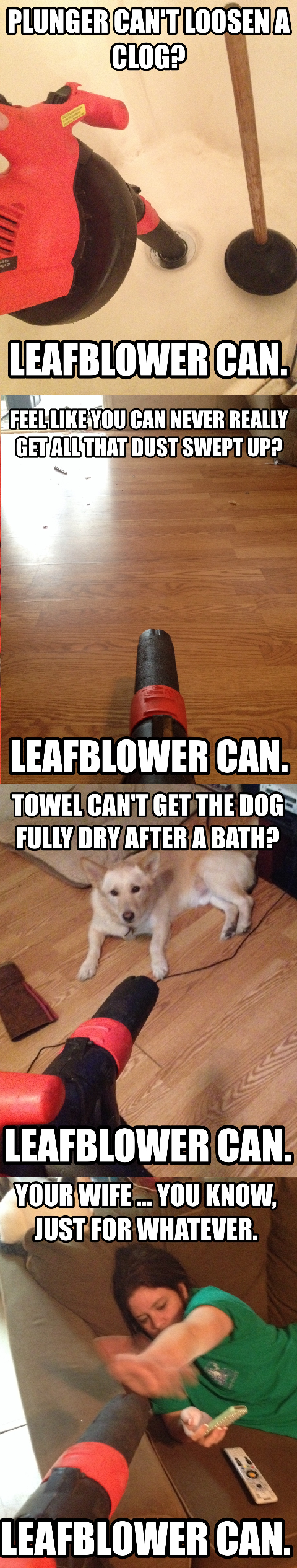 I cant be the only one Any leafblower love out there