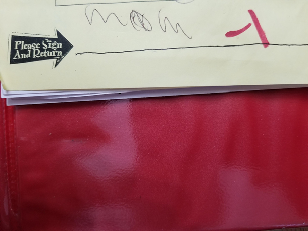 I cant believe my  year old actually tried to pull this off