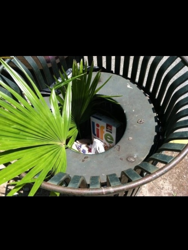 I cant believe someone would just throw their life away like that