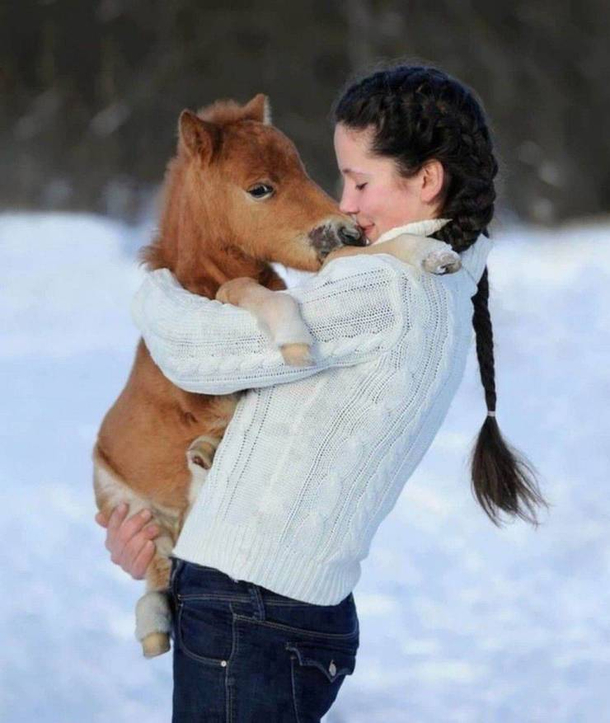 I cant come in today im feeling a little horse