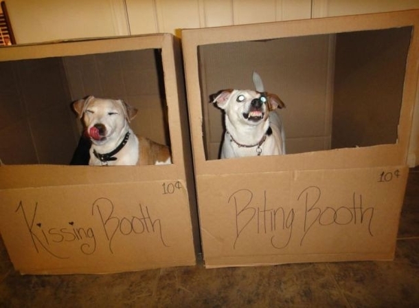 I cant decide which one I want more