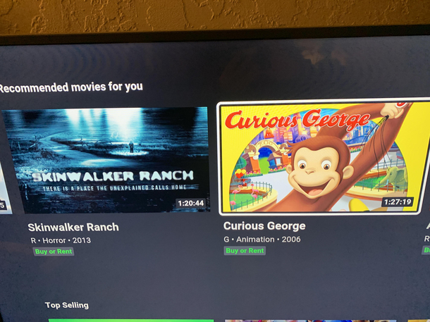 I cant get my family to remember to switch profiles before streaming movies and now my recommendations look like this