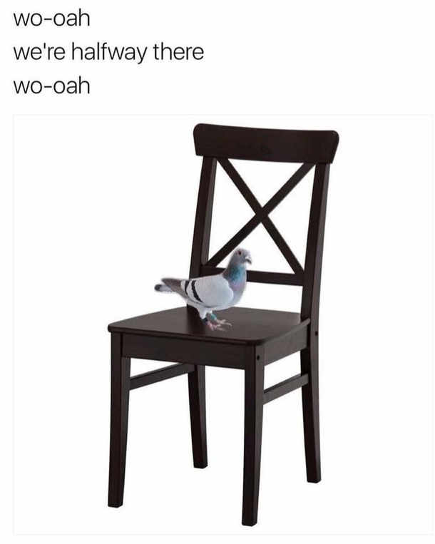 I cant get this out of my head this morning