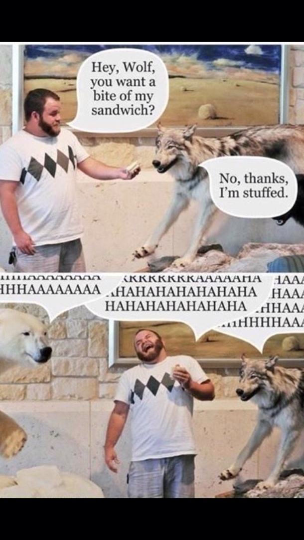 I cant help but to laugh