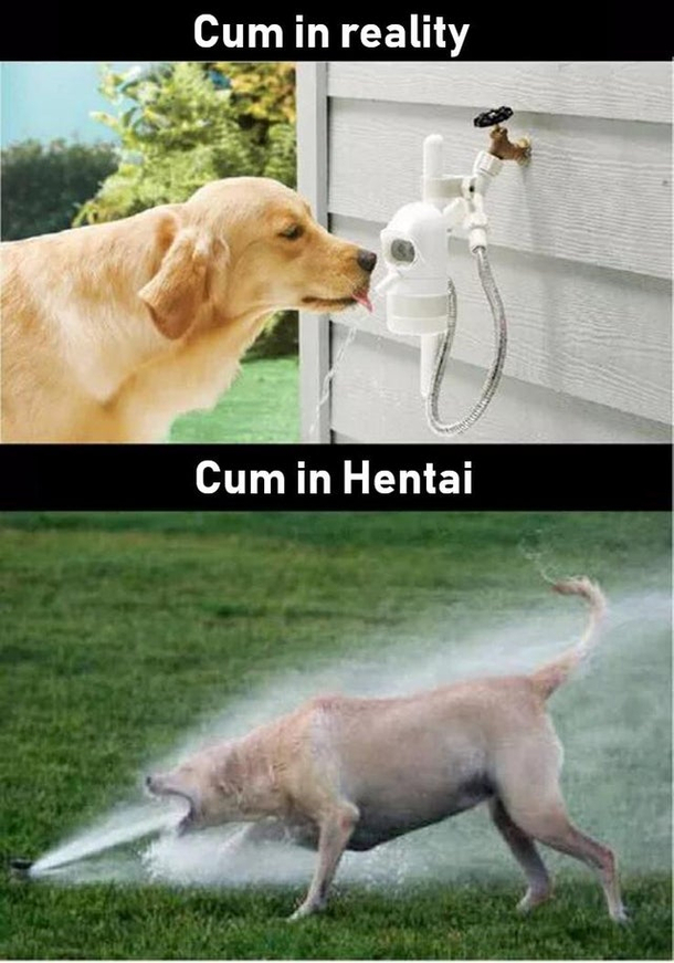 I cant stop laughing please help me