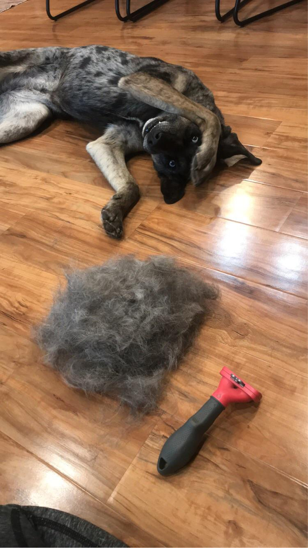 I cant tell if shes embarrassed proud or ashamed But here you go Reddit Title this for me