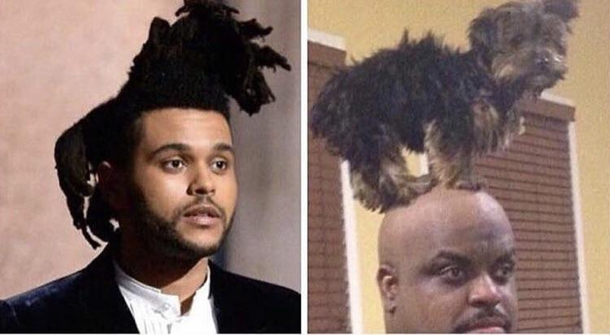 I cant unsee it