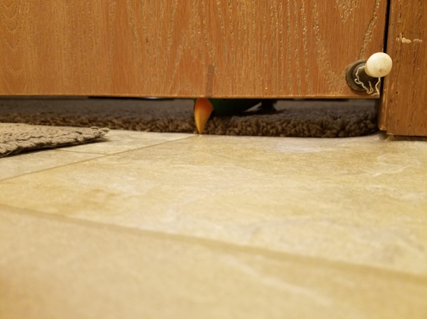 I cant use the bathroom for  minutes without being interrupted by this asshole