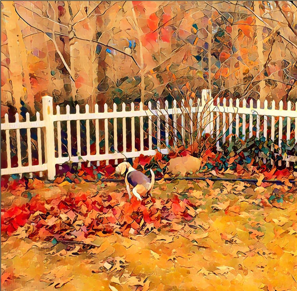 I captured the beautiful moment of my dog deciding to take a shit directly in my leaf pile I put it through an oil painting filter and will hang it in my bathroom to remember her forever