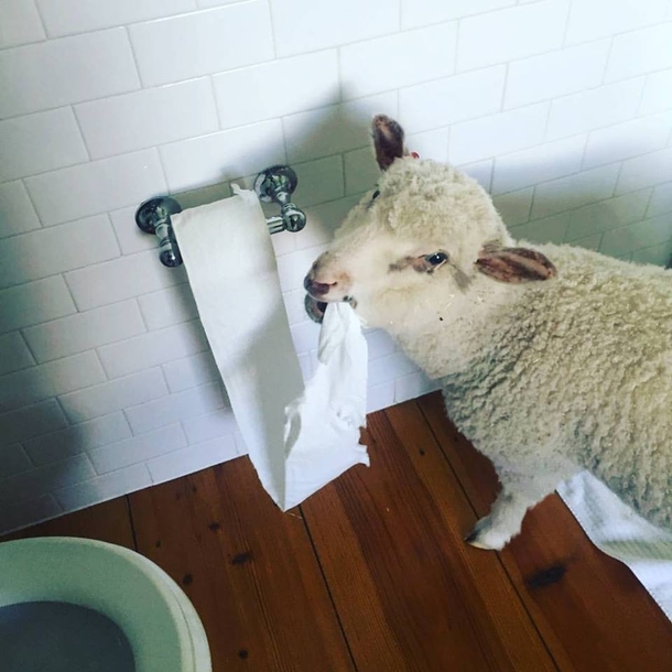 I caught her being BAAAAd