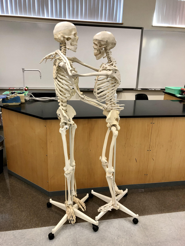 I caught these skeletons at work sharing an intimate moment