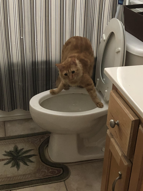 I caught this guy up to something
