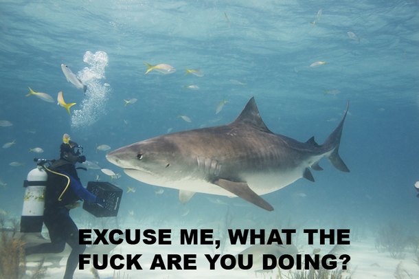 I chuckled