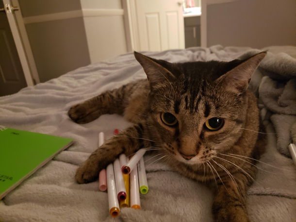 I couldnt figure put why all my markers kept disappearing until I went into the other room and found the dragon protecting her stash