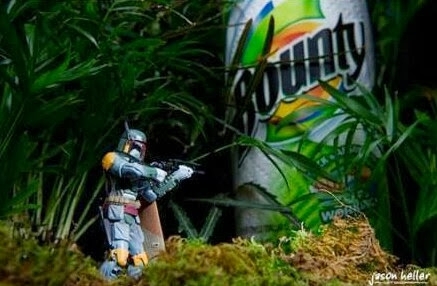 I couldnt find my paper towels for you guys so I hired a bounty hunter