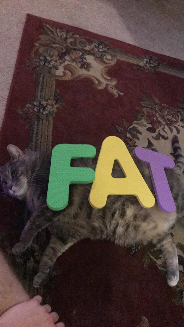 I couldnt help myself
