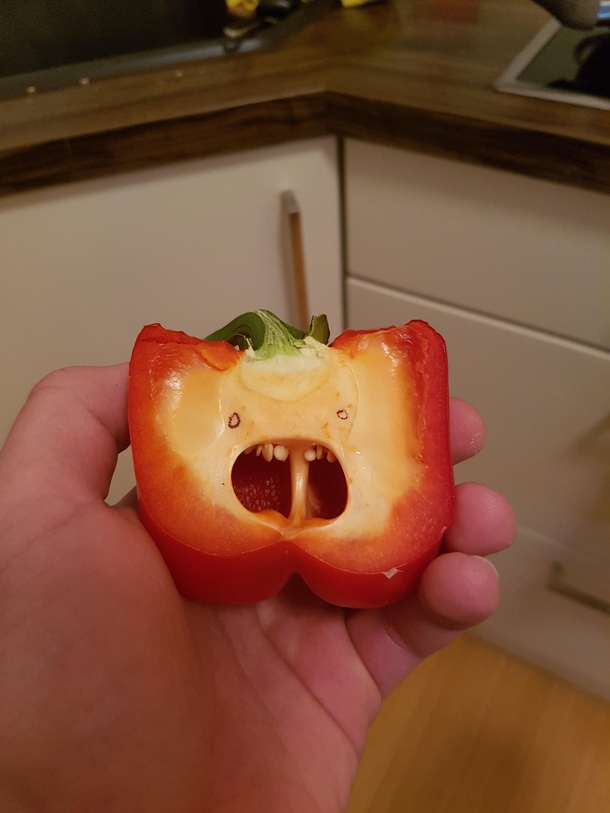 I couldnt resist