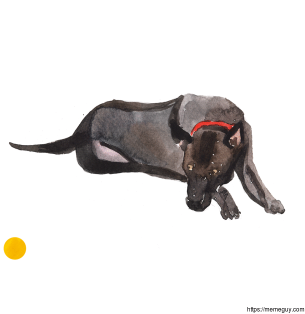 I created dog watercolor collection this is one of it
