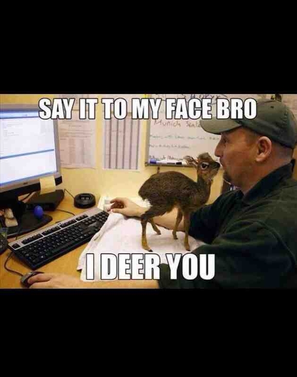 I deer you