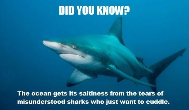 I did not know that