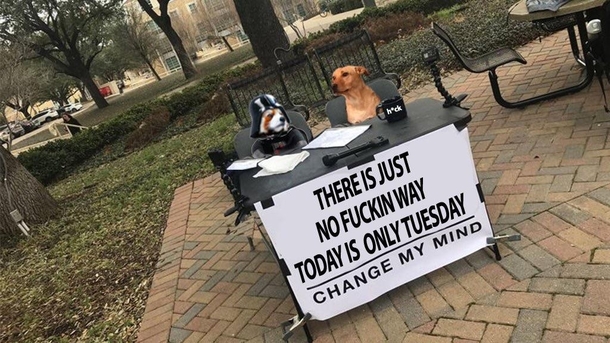 i didnt believe it myself