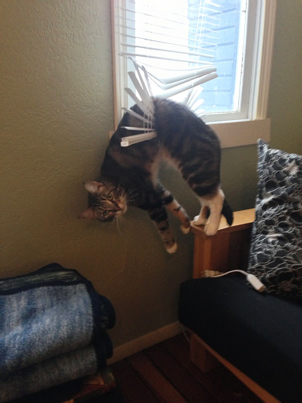 I didnt do it