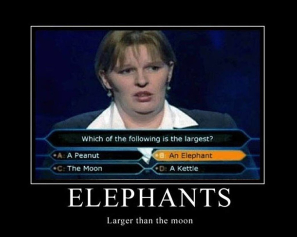 I didnt know that elephants were larger than the moon