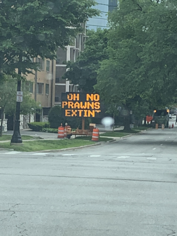 I didnt see any 