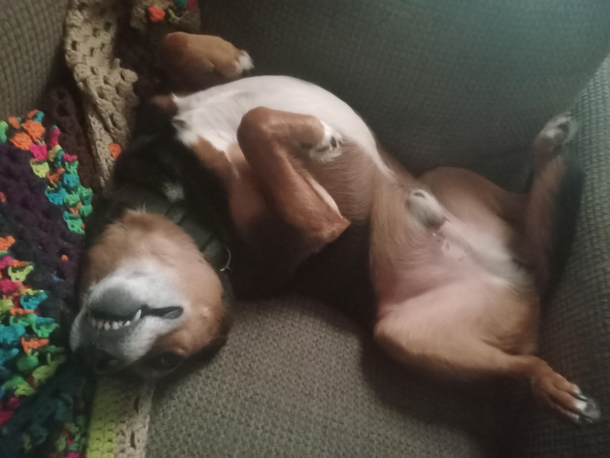 I do fit here See