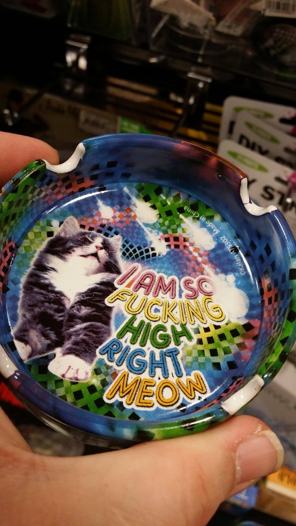 I dont do drugs but boy do I want to now