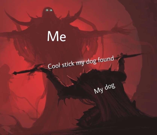 i dont even have a dog