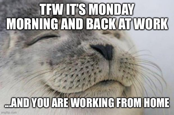 I dont ever want to work in an office again thanks Corona