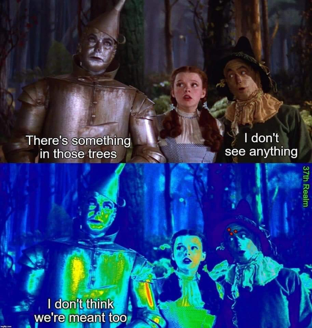 I dont feel so good cowardly lion