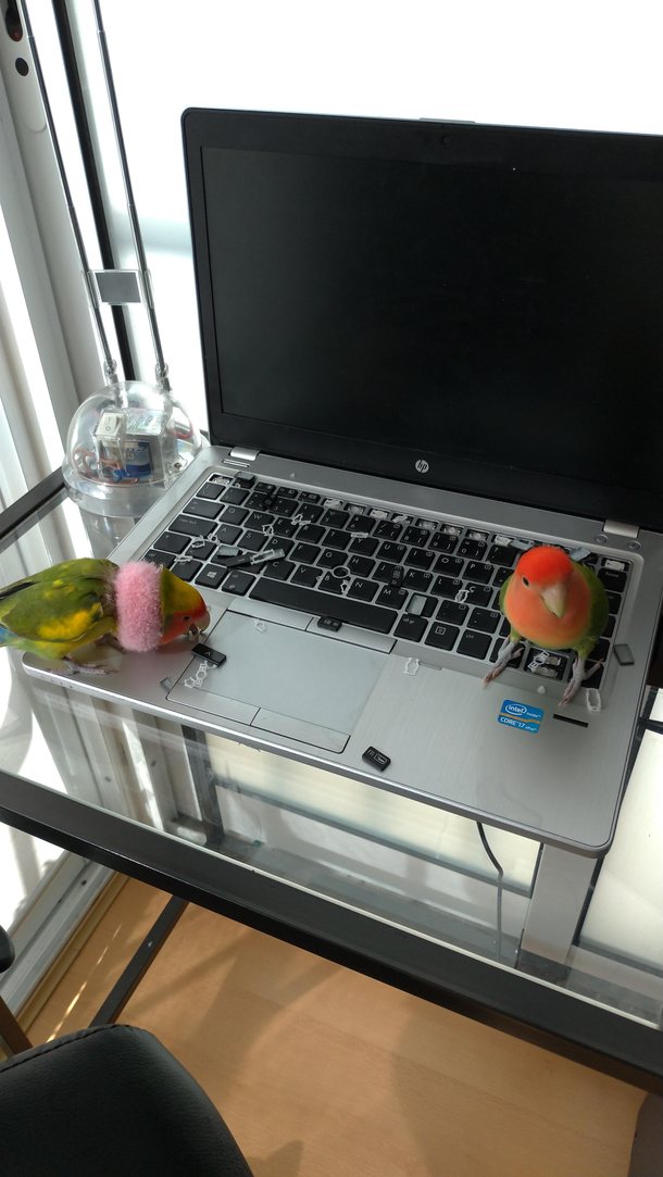 I dont know how Im going to say this to my husband  love  someone must have forgotten to close the computer last night  LOVE YOU 