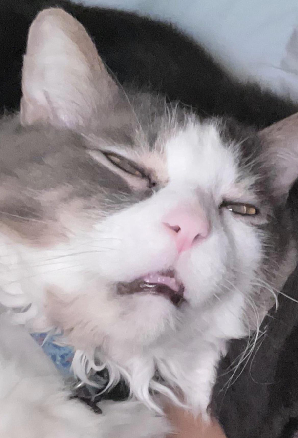 I dont know what hes on but I want some