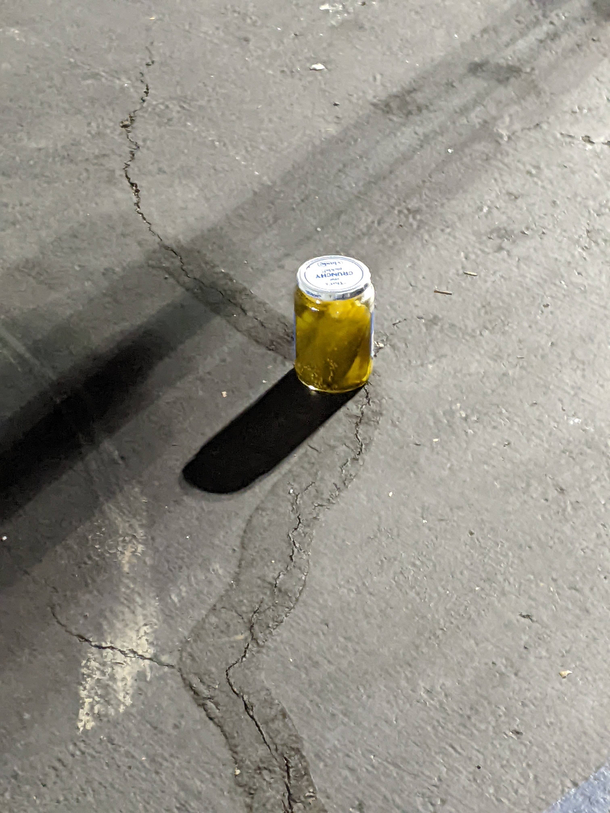 I dont know what this Home Depot parking lot jar of pickles is going through but I can relate