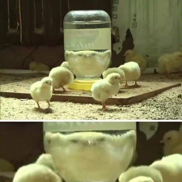 I dont know where I found this image