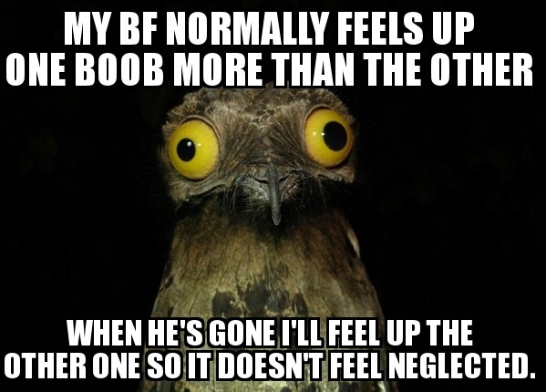 I dont know why I feel like I have to do this