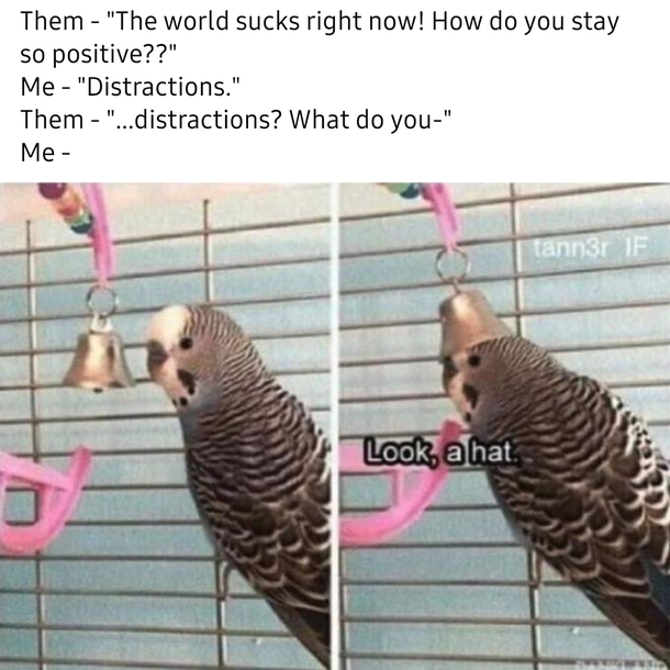 I dont know why this made me laugh so much