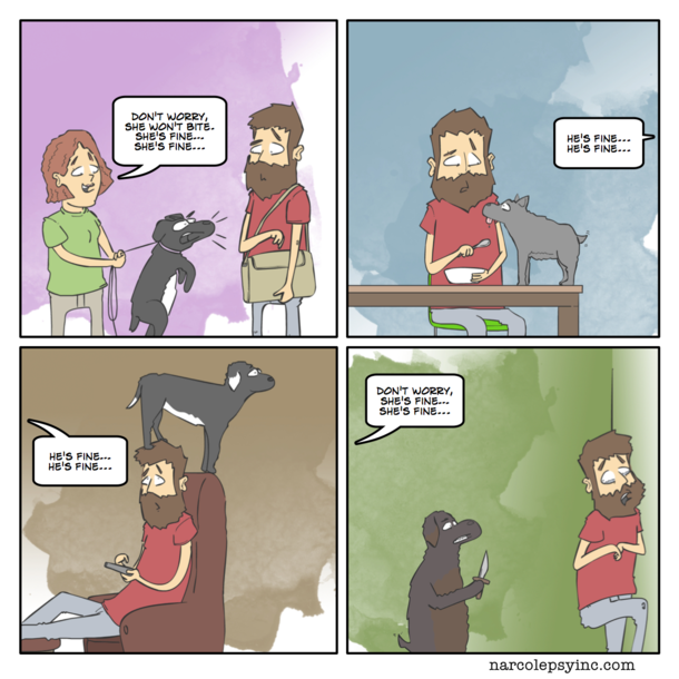 I dont own dogs Most of my family does Last weekend we spent a couple of days together