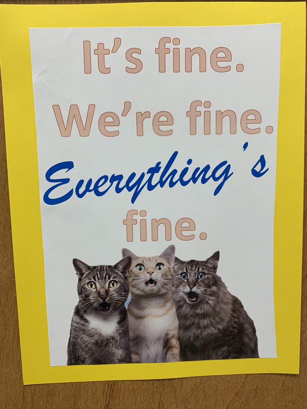 I dont think everything is fine