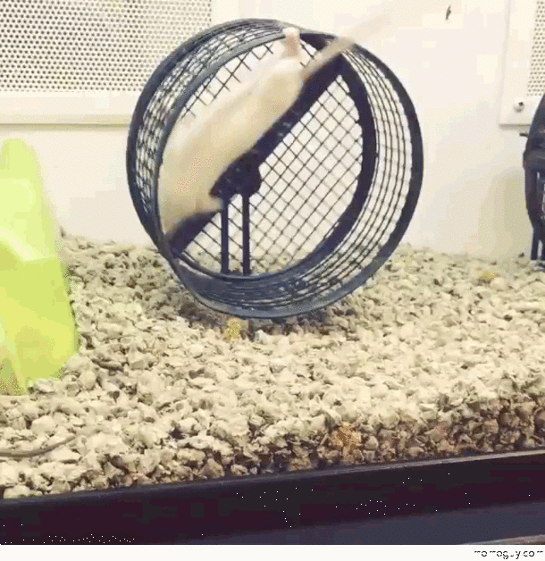 I dont think hes doing this right