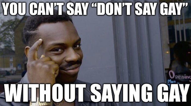 I dont think Ron DeSantis thought this thru
