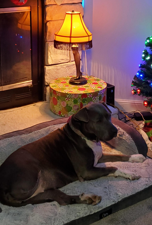 I dont think shes amused by her new lamp