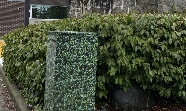 I dont think the bushes suspect a thing