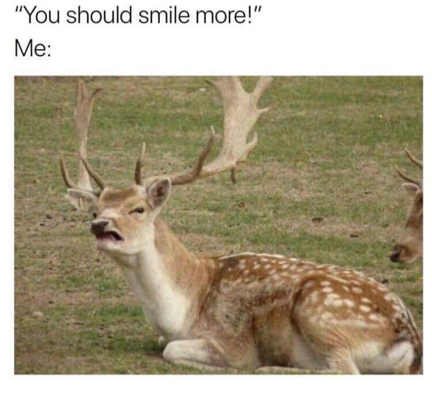 I dont wanna