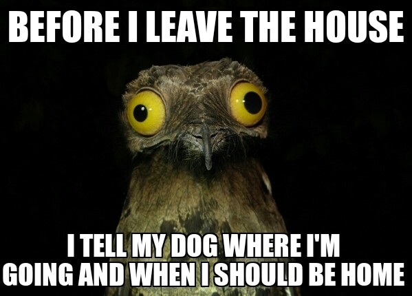 I dont want him to get worried