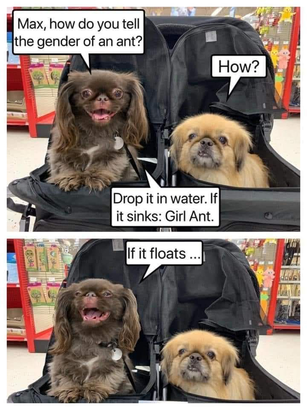 I dont what to put here